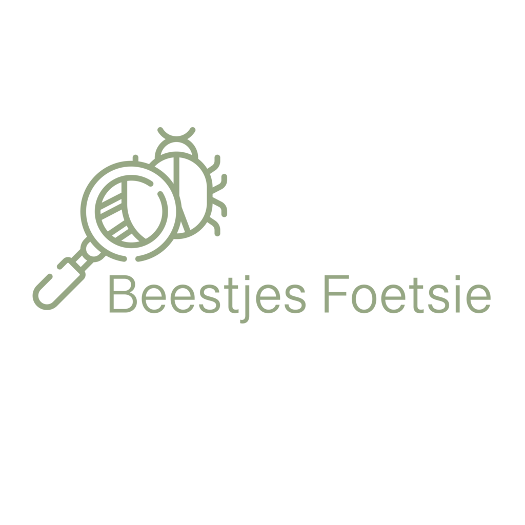 logo - BeestjesFoetsie.nl